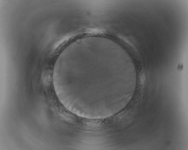 X0000111521254200908251128