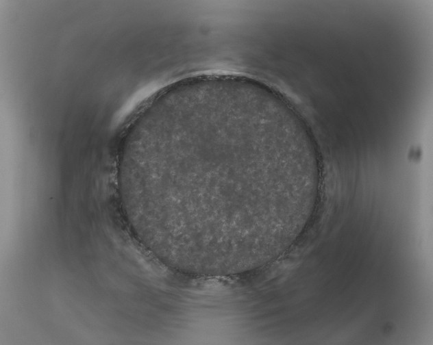 X0000111521255200908251128