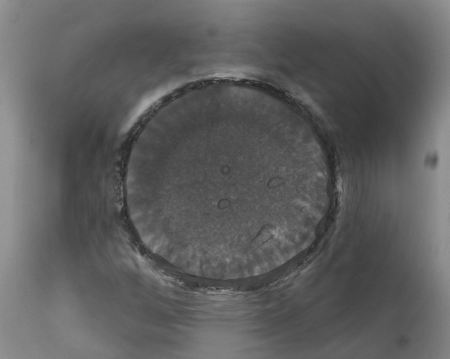 X0000111521256200908251128