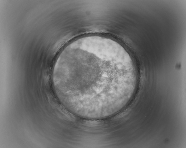 X0000111521257200908251128