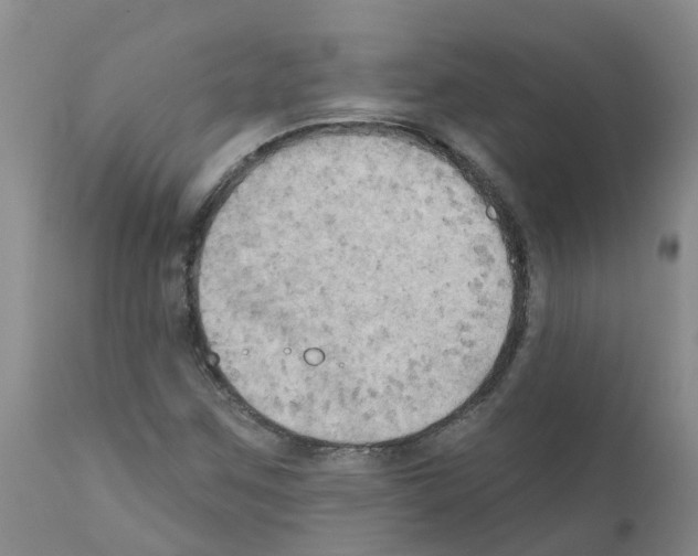 X0000111521259200908251128