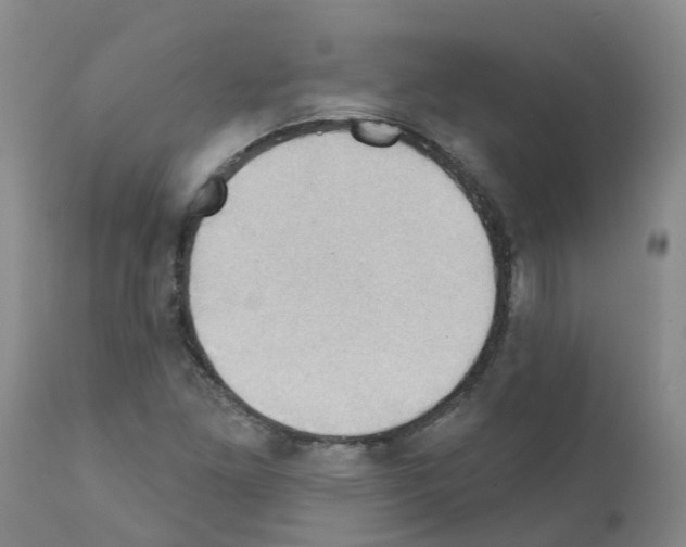 X0000111521261200908251128