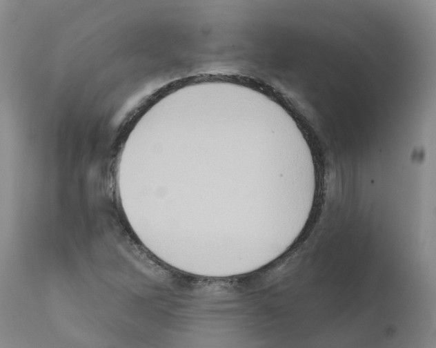 X0000111521262200908251128