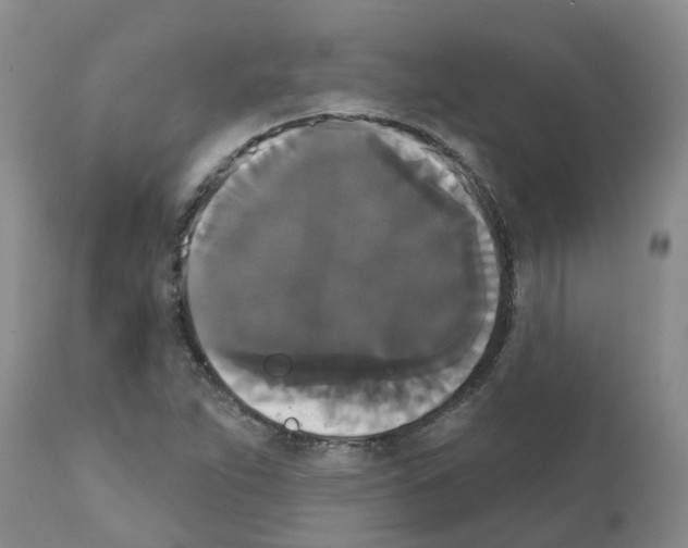 X0000111521263200908251128