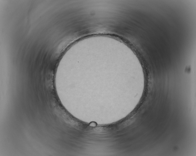 X0000111521265200908251128