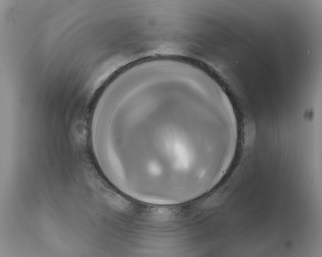 X0000111521266200908251128