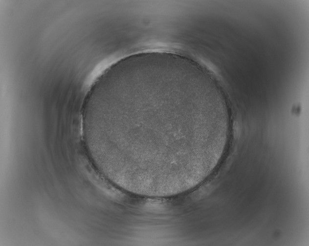 X0000111521267200908251128