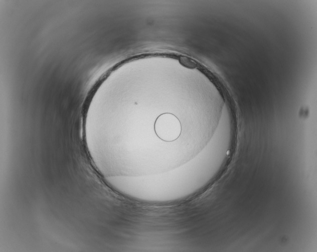 X0000111521269200908251128