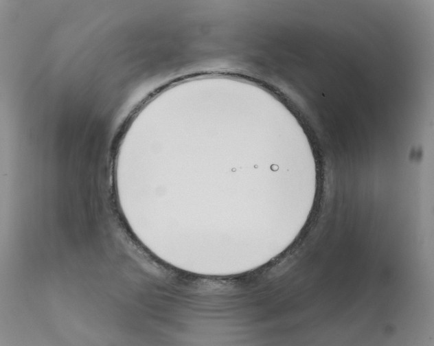X0000111521270200908251128