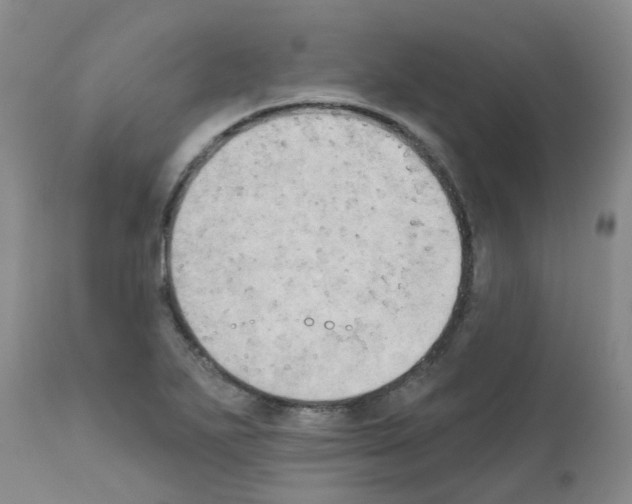 X0000111521271200908251128