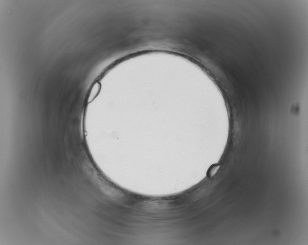 X0000111521272200908251128