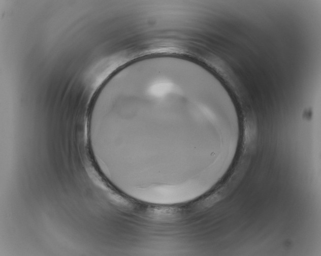 X0000111521274200908251128