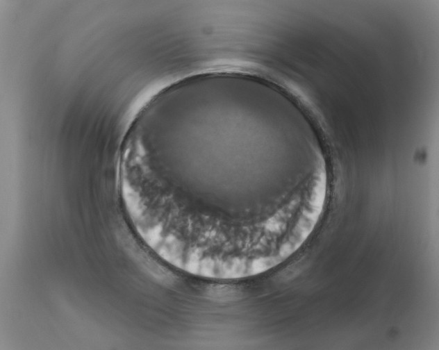 X0000111521275200908251128