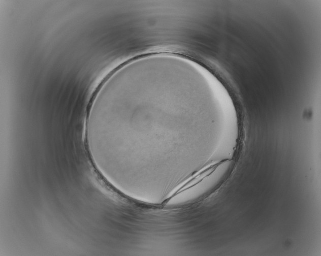 X0000111521276200908251128