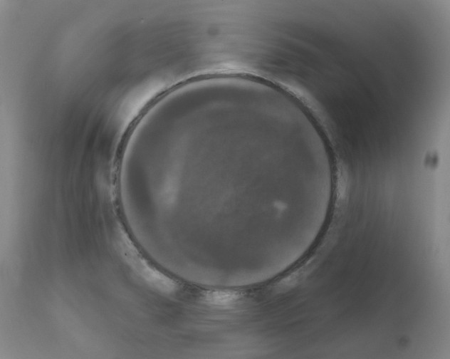 X0000111521278200908251128