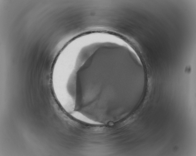 X0000111521279200908251128
