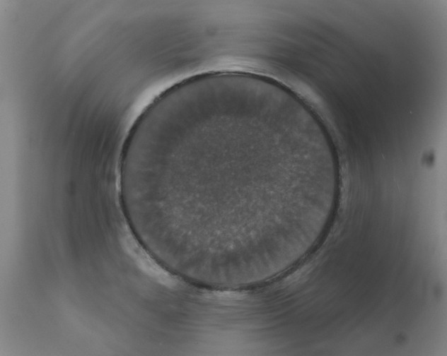 X0000111521280200908251128