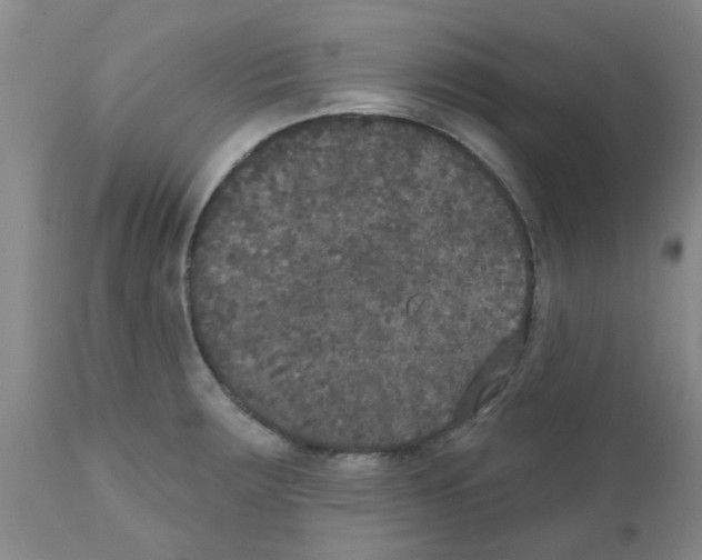 X0000111521283200908251128