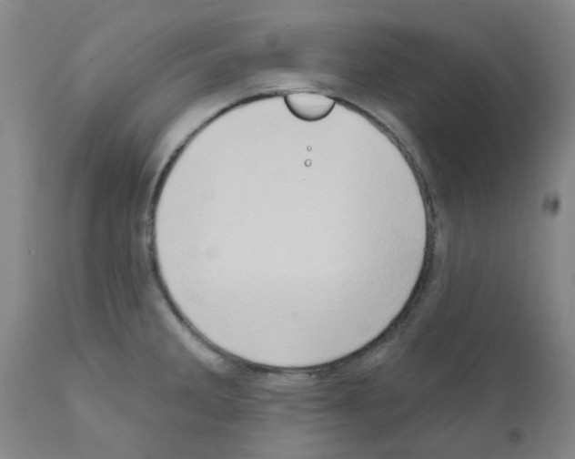 X0000111521285200908251128