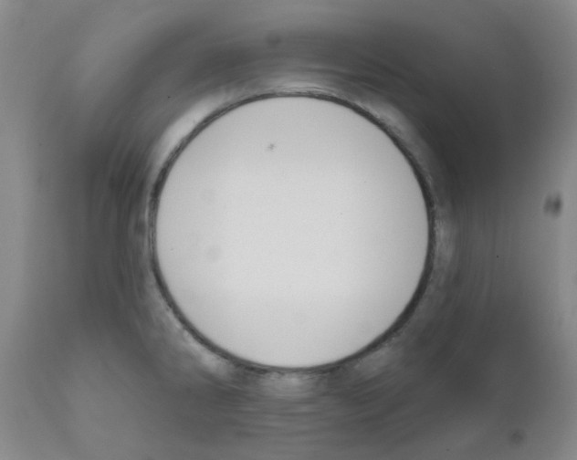 X0000111521286200908251127