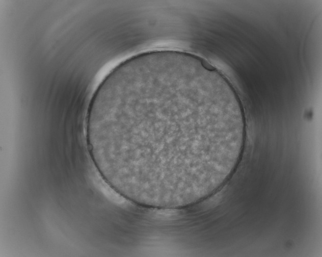 X0000111521288200908251127