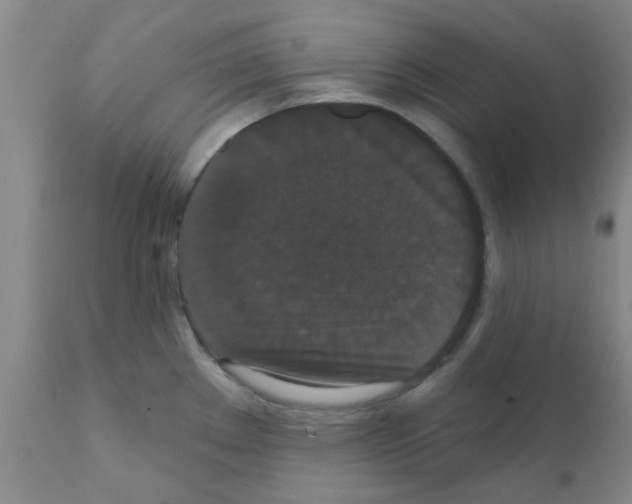 X0000111521289200908251127