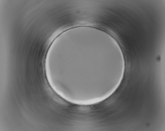 X0000111521291200908251127