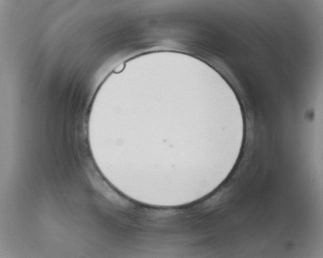 X0000111521292200908251127