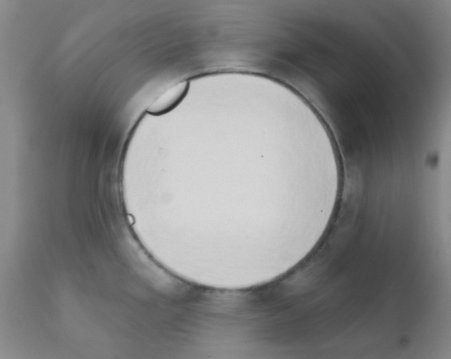 X0000111521293200908251127