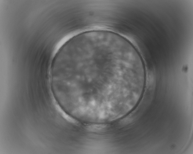 X0000111521294200908251127