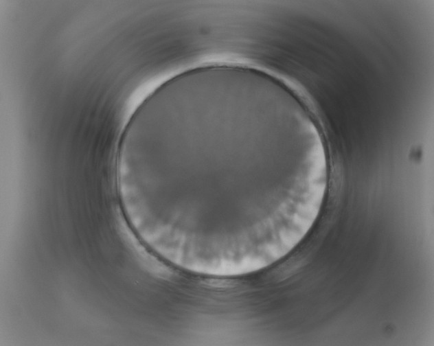 X0000111521295200908251127