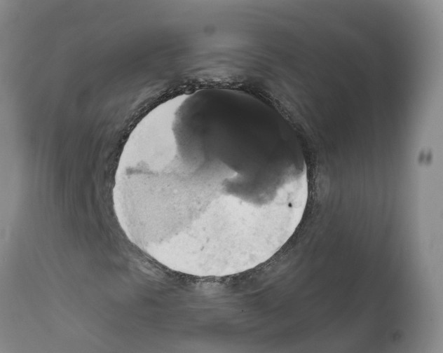X0000111521297200908251127