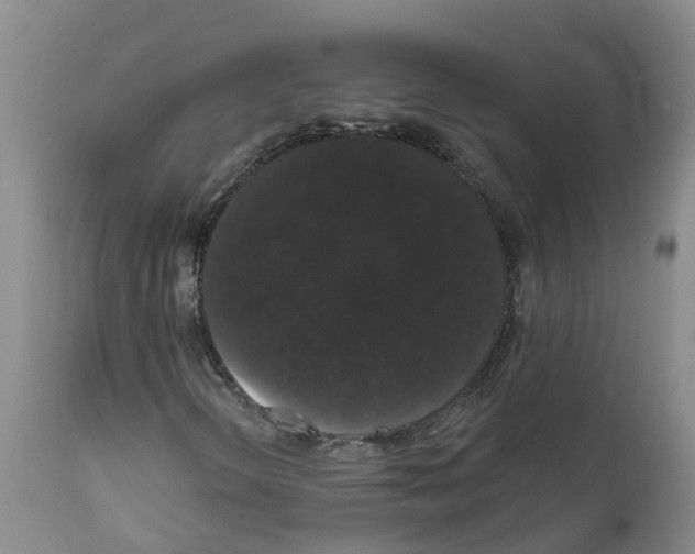 X0000111521298200908251127