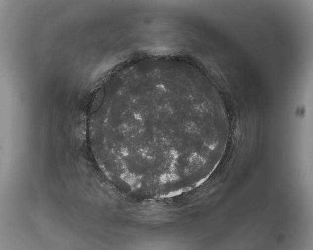 X0000111521301200908251127