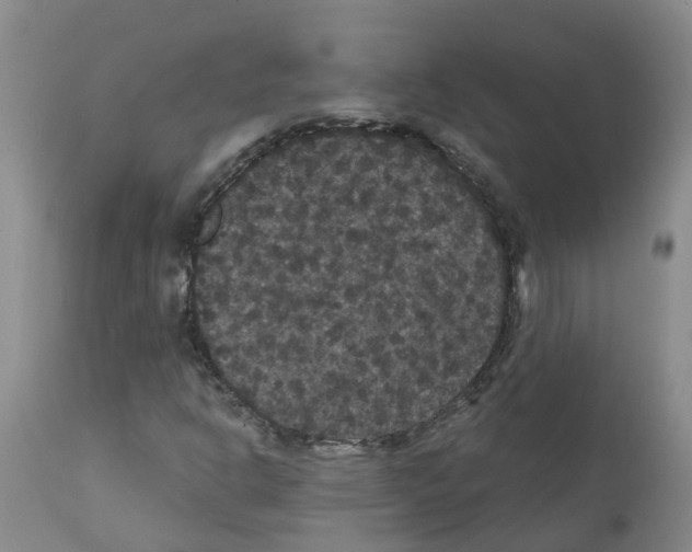 X0000111521302200908251127