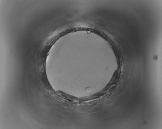 X0000111521303200908251127