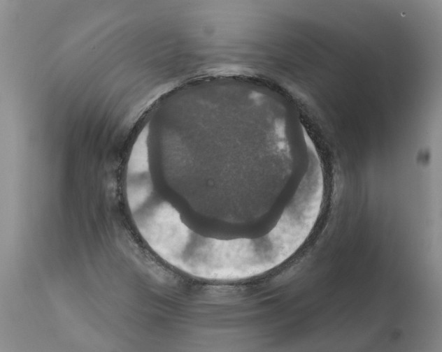 X0000111521305200908251127