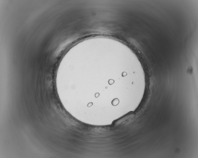 X0000111521307200908251127