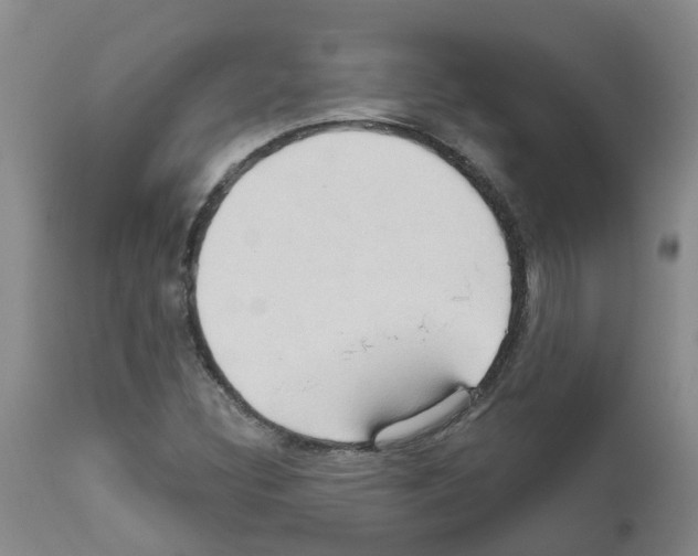 X0000111521308200908251127