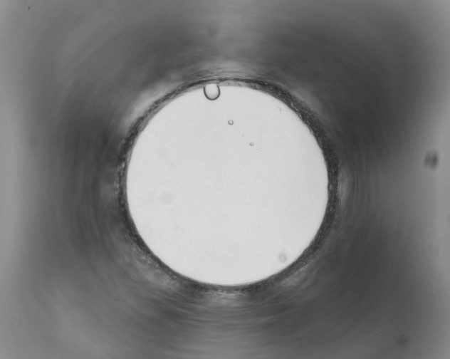 X0000111521309200908251127