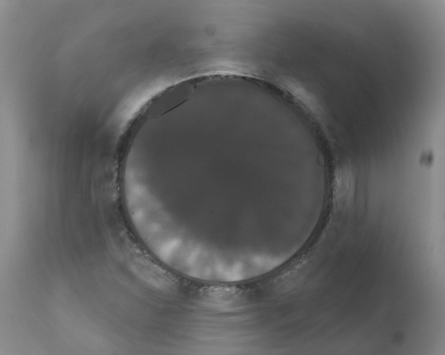X0000111521310200908251127
