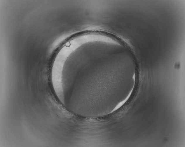 X0000111521311200908251127