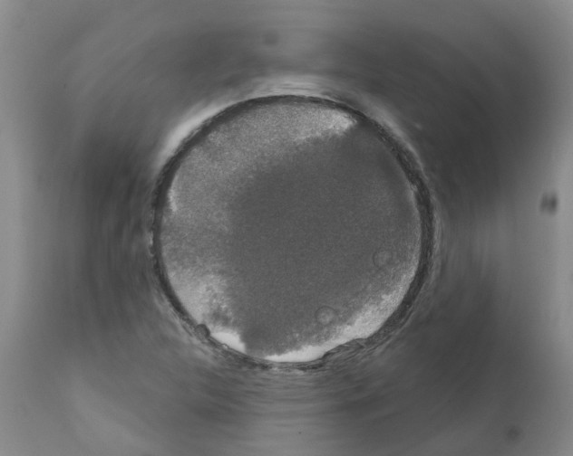 X0000111521312200908251127