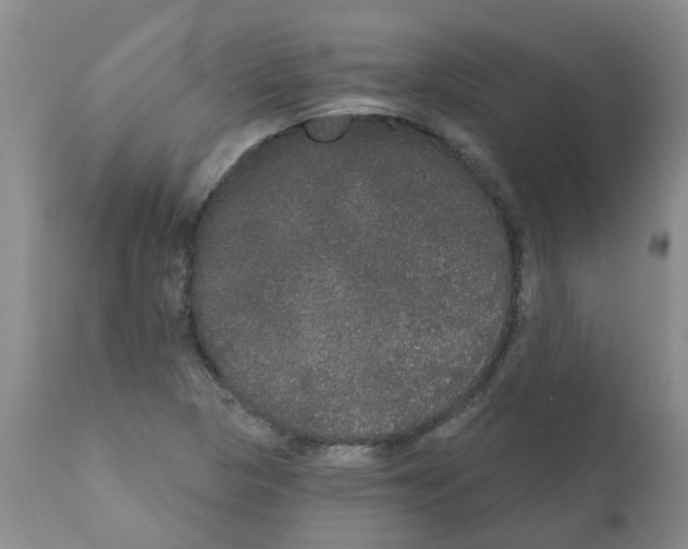 X0000111521313200908251127
