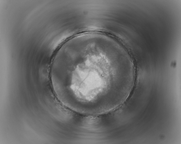 X0000111521314200908251127