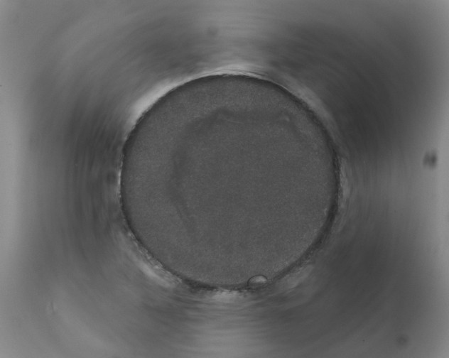 X0000111521316200908251127