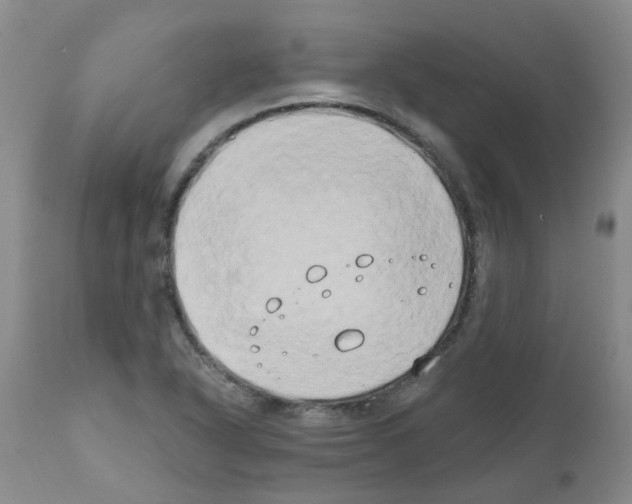 X0000111521318200908251127