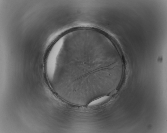 X0000111521319200908251127