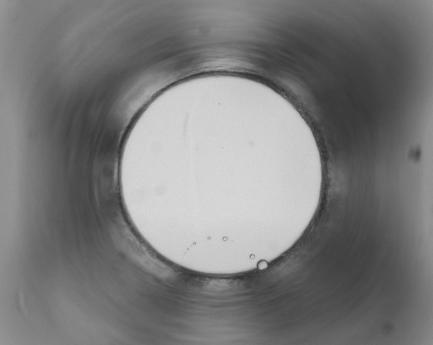 X0000111521322200908251127