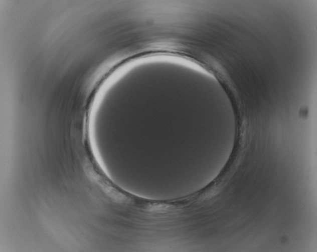 X0000111521323200908251127